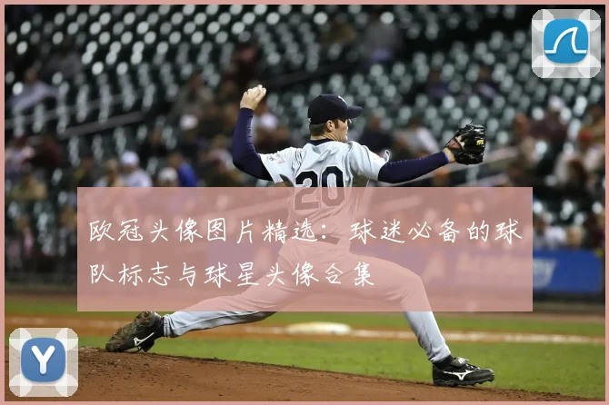 欧冠头像图片精选：球迷必备的球队标志与球星头像合集