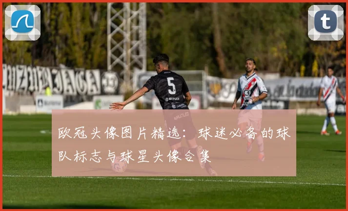 欧冠头像图片精选：球迷必备的球队标志与球星头像合集